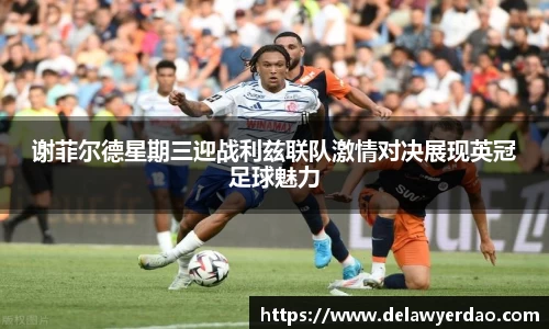 谢菲尔德星期三迎战利兹联队激情对决展现英冠足球魅力